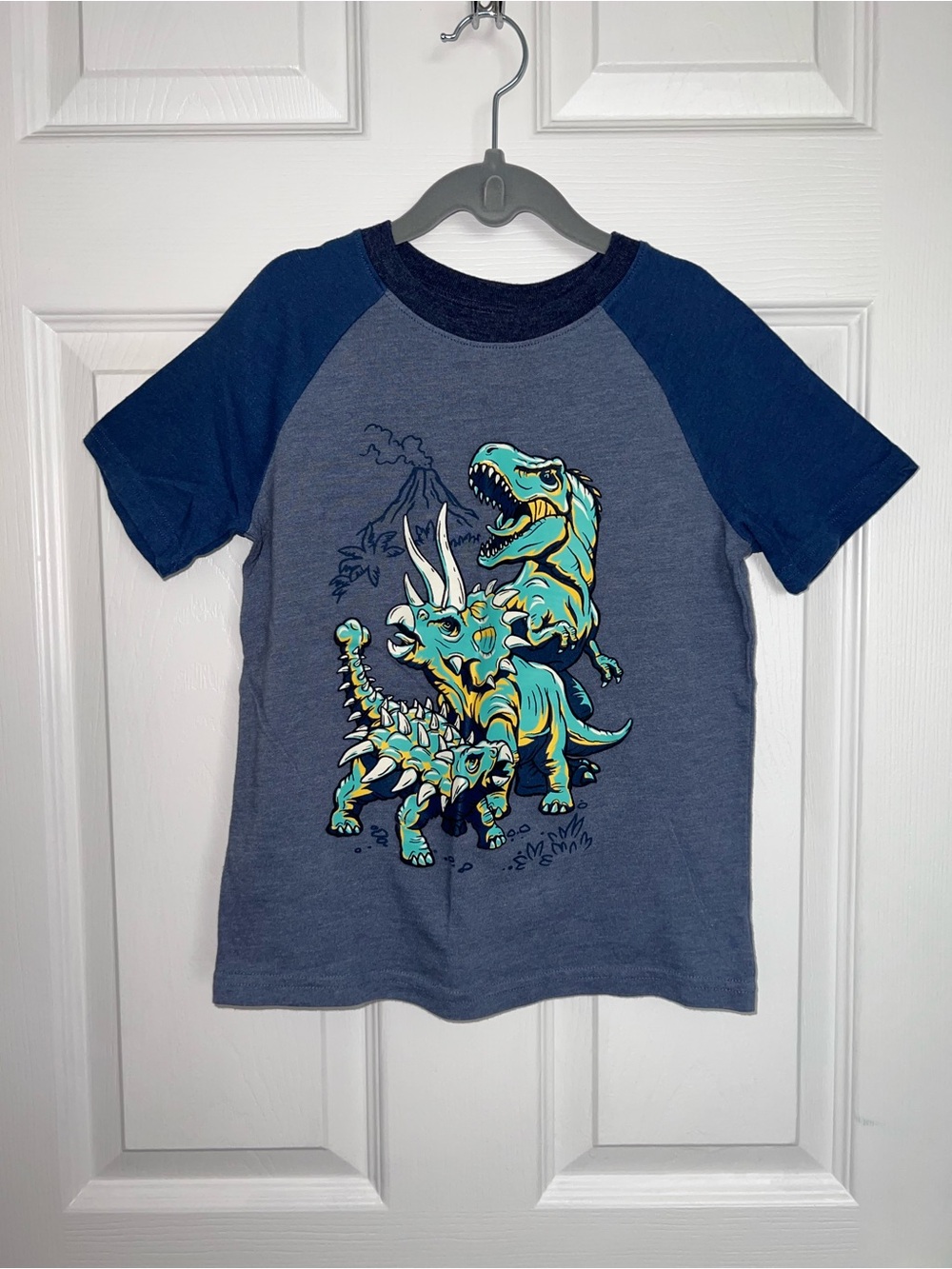 Kids sz 6 Dino Graphic Raglan Tee
